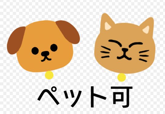 ペット可で比較 賃貸とマイホーム購入