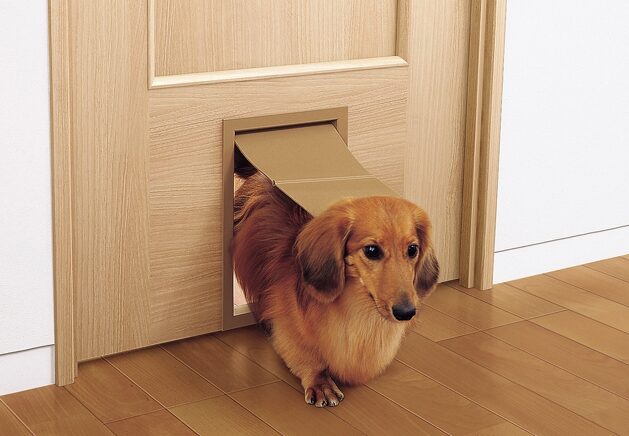 犬猫用ドア