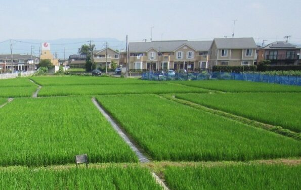田園住居地域 用途地域