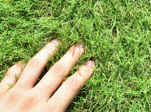 【人工芝をDIY】おすすめはリアル人工芝！継ぎ目が自然でコスパ最強