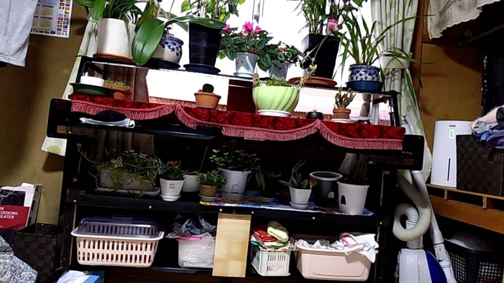 祖父がピアノをDIYして作った棚と、その上に並んだ植木鉢