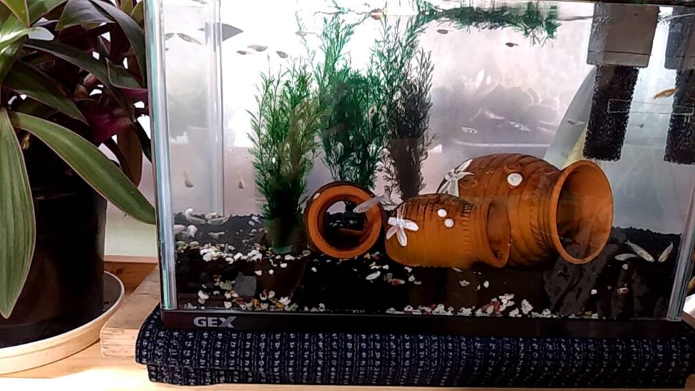 遺品整理　処分に困る　水槽